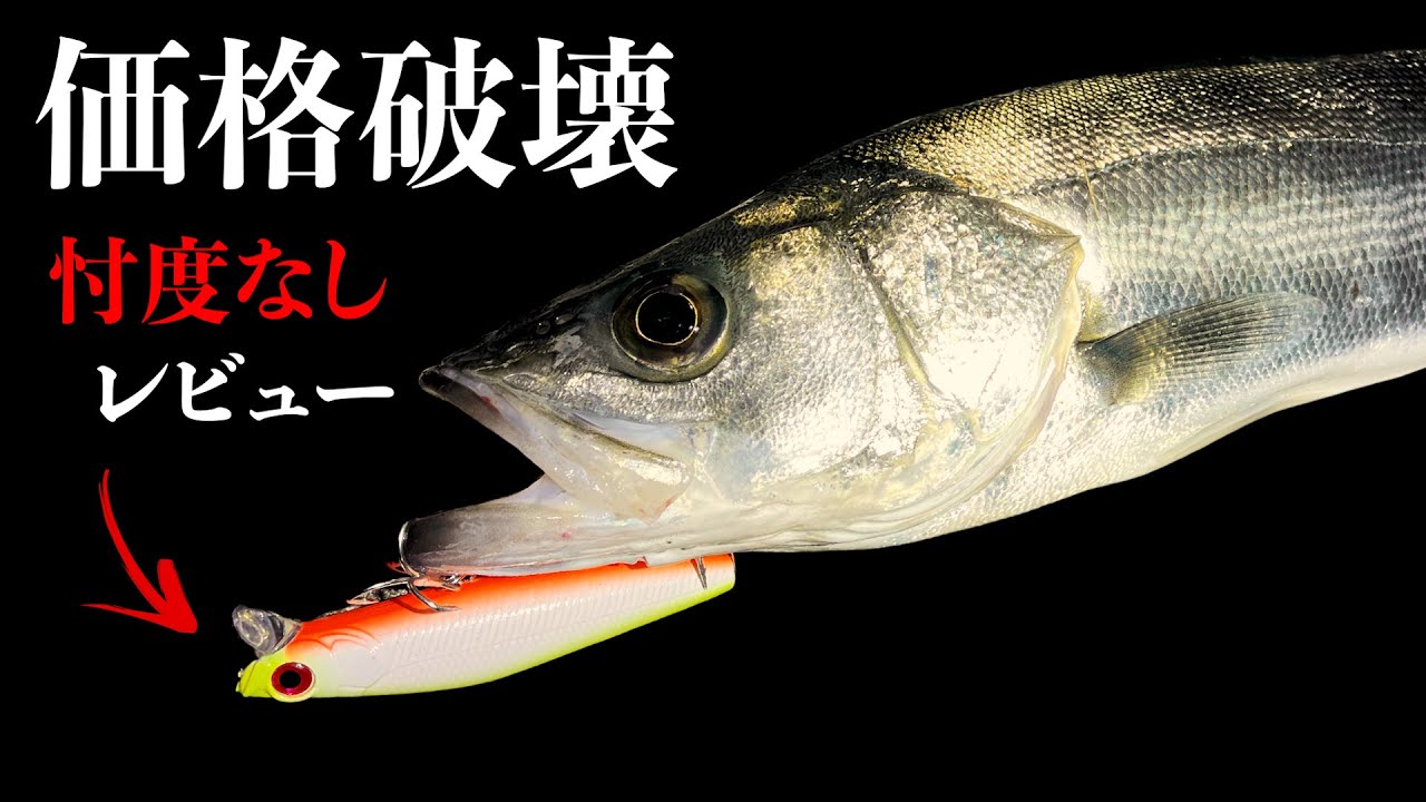 Honest review of a cheap private brand lure from a fishing tackle