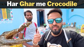 CROCODILES in EVERY HOME in ASWAN EGYPT | with @theindotrekker