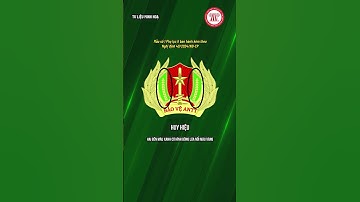 Huy hiệu, phù hiệu chính thức của lực lượng tham gia bảo vệ an ninh, trật tự ở cơ sở | TVPL