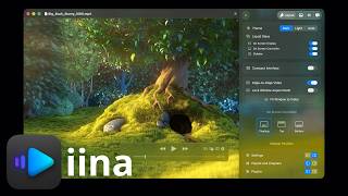 Is IINA Still the Best Mac Video Player? screenshot 2