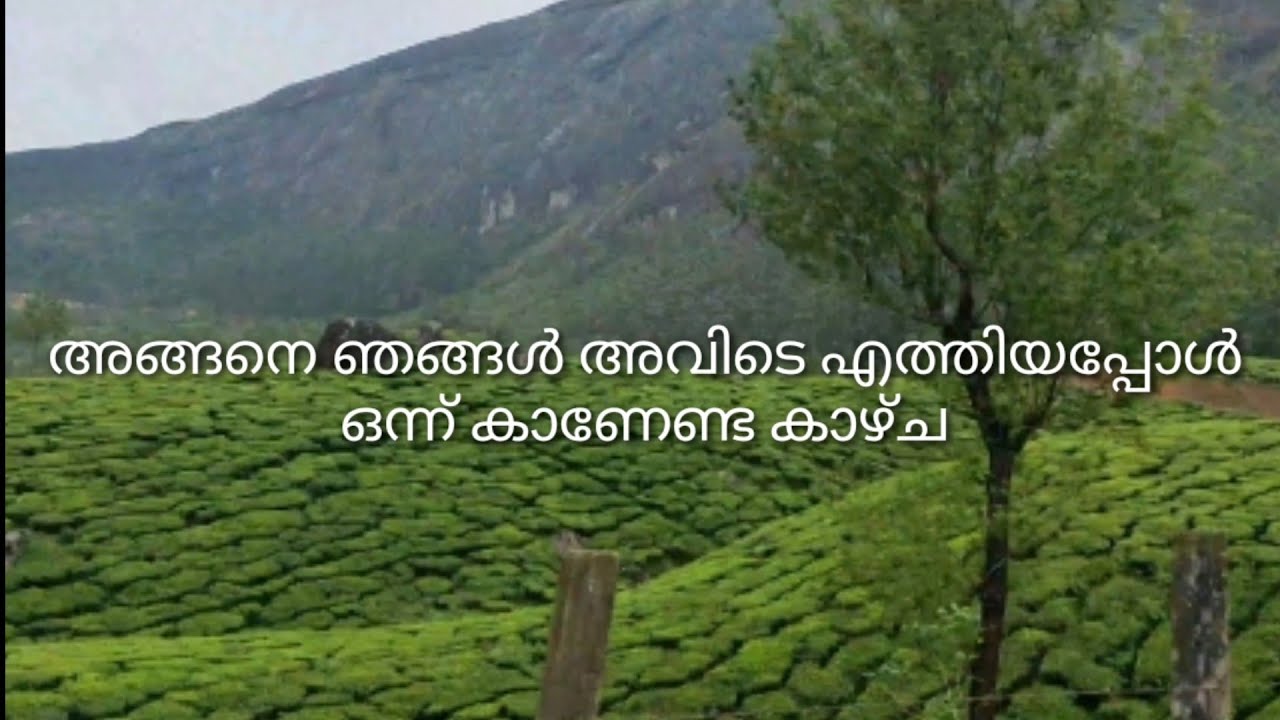 Top Places in Munnar /Best Places in Munnar/ kearala malayalam /munnar