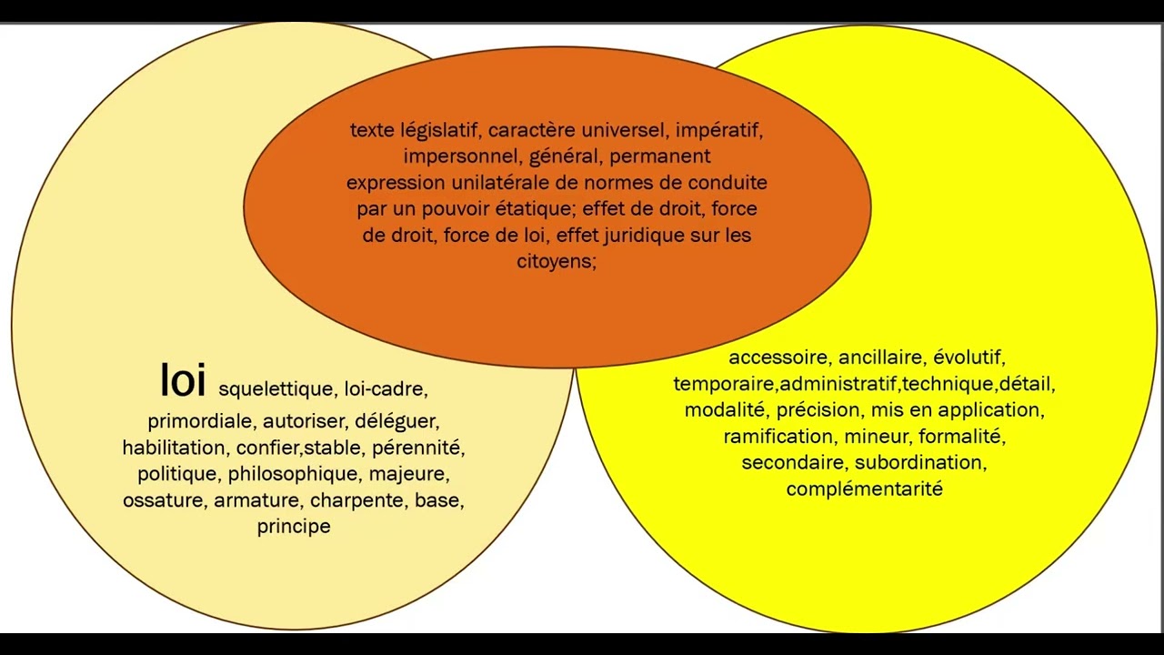 117最高效的法语法律学习方法French français droit code civillaw chinois ChineseEnglish  avocat lawyer律师移民加拿大中国民法典