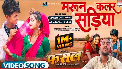 #video - मैरून कलर साडिया | marron colour Sadi #dineshlalyadav #nilkaml sing | फसल | Gopal rap