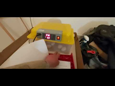 ინკუბატორის მოხმარების შესახებ.