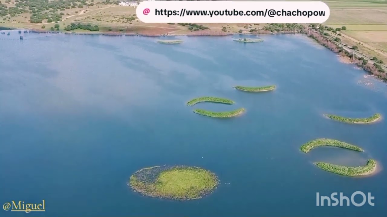 Isla Mayor ( Sevilla)