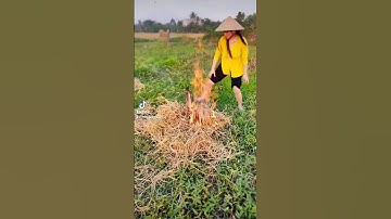 ẩm thực miền tây. cá lóc nướng chui ngon tuyệt #shorts #food