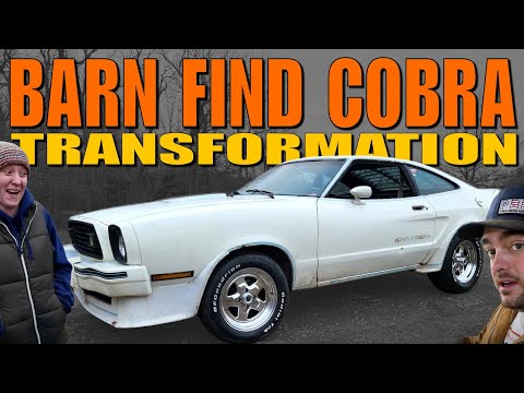 King Cobra Mustang OVERHAUL! Total Suspension Refresh, Gets Some Muscle!
