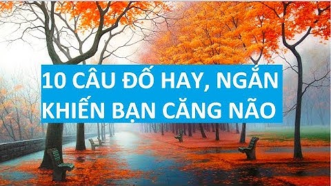 10 câu đố mẹo hay, ngắn khiến bạn căng não có đáp án