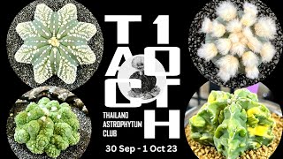 Tour Cactus Fair | 🌵Thailand Astrophytum Club (TAC#10) 30 Sep - 1 Oct  2023 @Central Chaeng Wattana