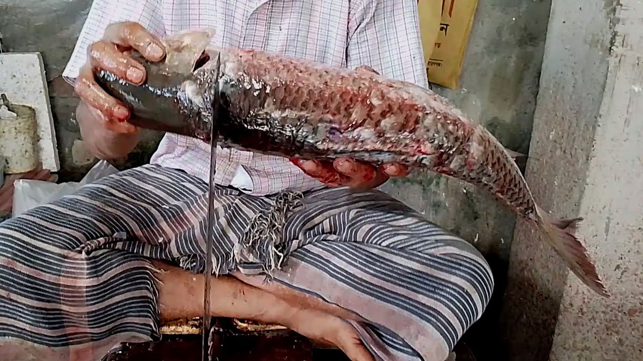 Super Fast Fish Cutter Cutting Big Rohu Fish | Fastest Fish Filleting ...