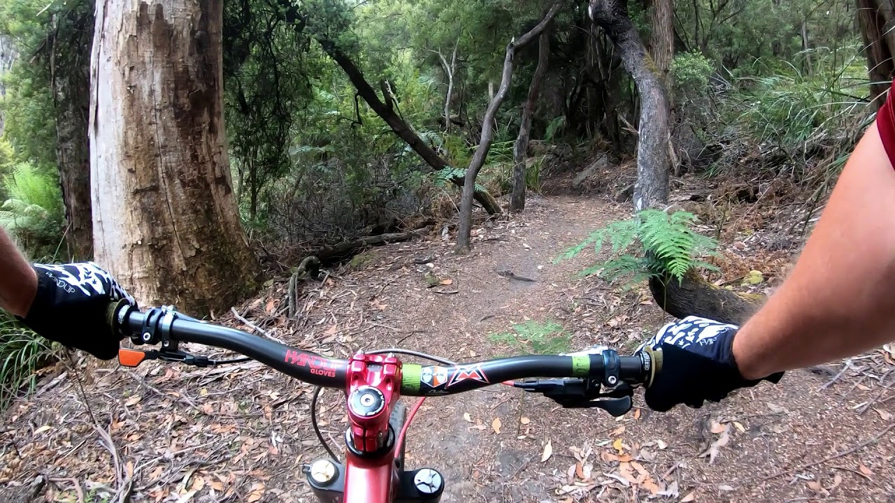 Trouty. Derby, Tasmania