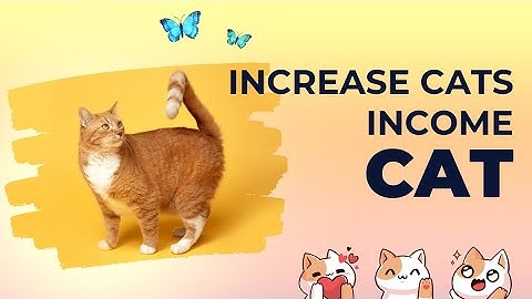 Cats Both YouTube Video Code Today Boost Your Cats Earings Video Code and free crypto code