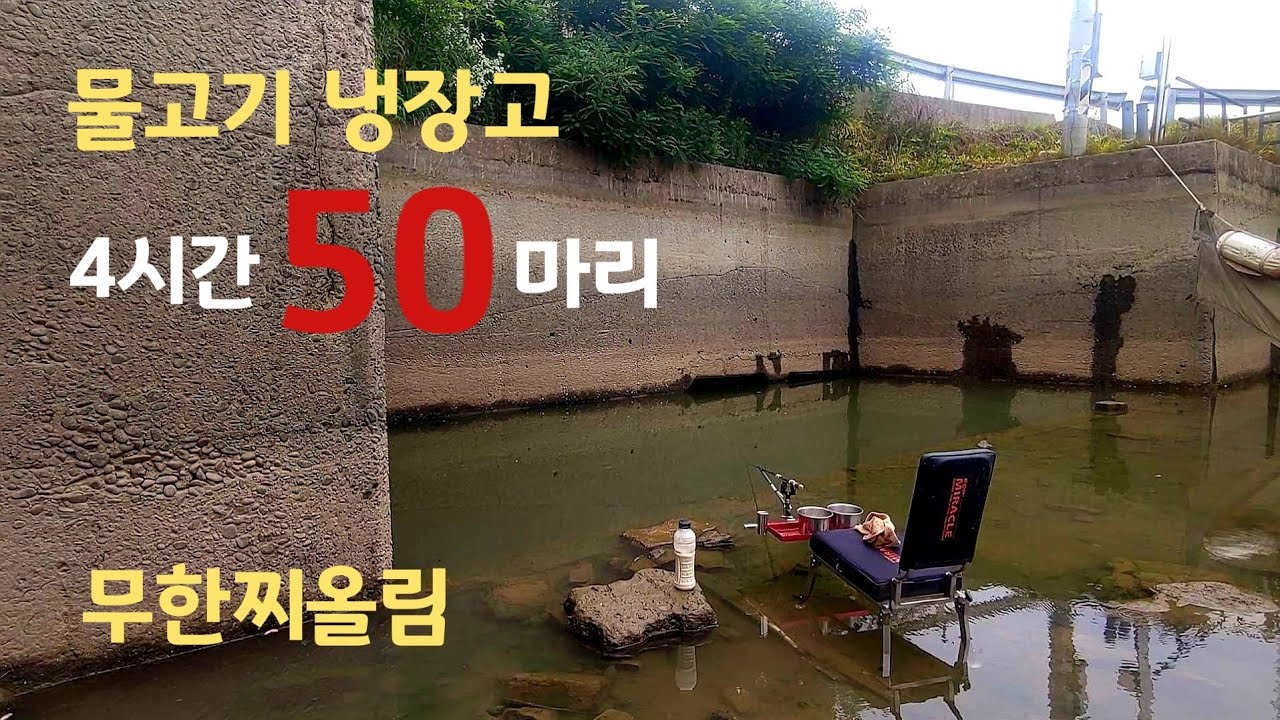 무한찌올림 신기한 포인트!! 수로 붕어낚시