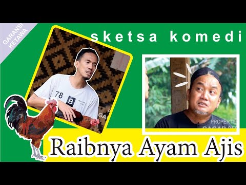 RAIBNYA AYAM KESAYANGAN SAYA | Sketsa Humor - Garansi Ketawa
