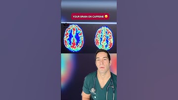 How caffeine REALLY affects the brain