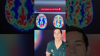 Download Lagu How caffeine REALLY affects the brain MP3 Download Lagu How caffeine REALLY affects the brain MP3