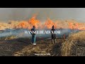 The Hasselblad X1Dii vs. X2D