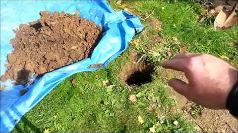 Mega Tree Build 2016 part 1