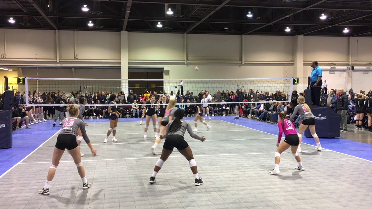 sports scholarships in australia for international students Perri Starkey #13 OH Class of 2019