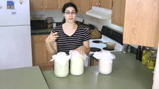 The Easiest Sour Cream EVER