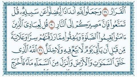 سورة ابراهيم 14  Ibrahim   مكتوبة بصوت القارئ مشاري بن راشد العفاسي وجودة فائقة 4K Ultra HD