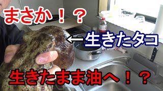 タコを一匹丸ごと揚げた！？豪快漁師のから揚げ！