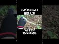 ヘビの正しい捕まえ方