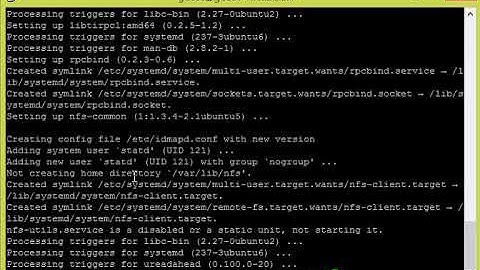 NFS Client configurationbad option; for several filesystems e g  nfs, cifs #English