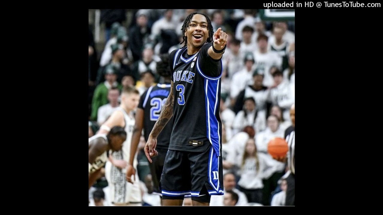 (free) wobble bounce sample type beat "alpha"