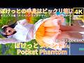①SEL100400MC【4K/60p】ぽけっとファントム（Japanese idol group Pocket Phantom）「あまいもんずフェス」niigo広場 2026年9月12日（土）