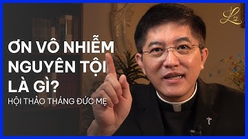 ƠN VÔ NHIỄM NGUYÊN TỘI LÀ GÌ? - Hội Thảo Tháng Đức Mẹ | Lm. Đaminh Giuse Nguyễn Thiết Thắng