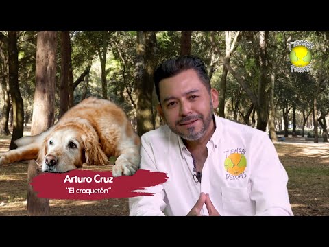 Video: Cómo aprovechar al máximo la cita con el veterinario de tu perro mayor