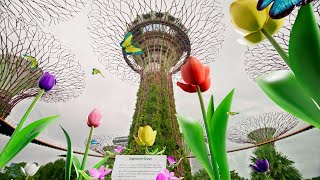 Expand local discovery in Singapore with augmented reality in Google Maps | Singapore Tourism Board