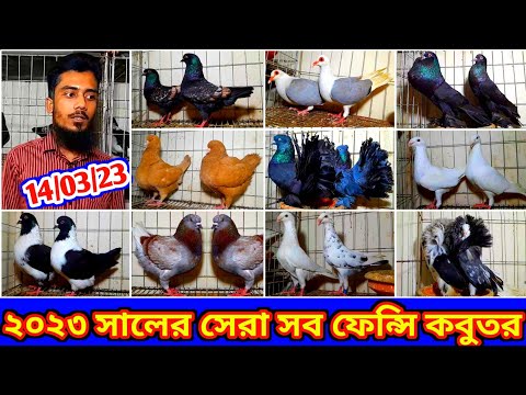 ২০২৩ সালের সেরা কালেকশন রুবেল ভাইয়ের খামার থেকে কিনুন ফেন্সি কবুতর