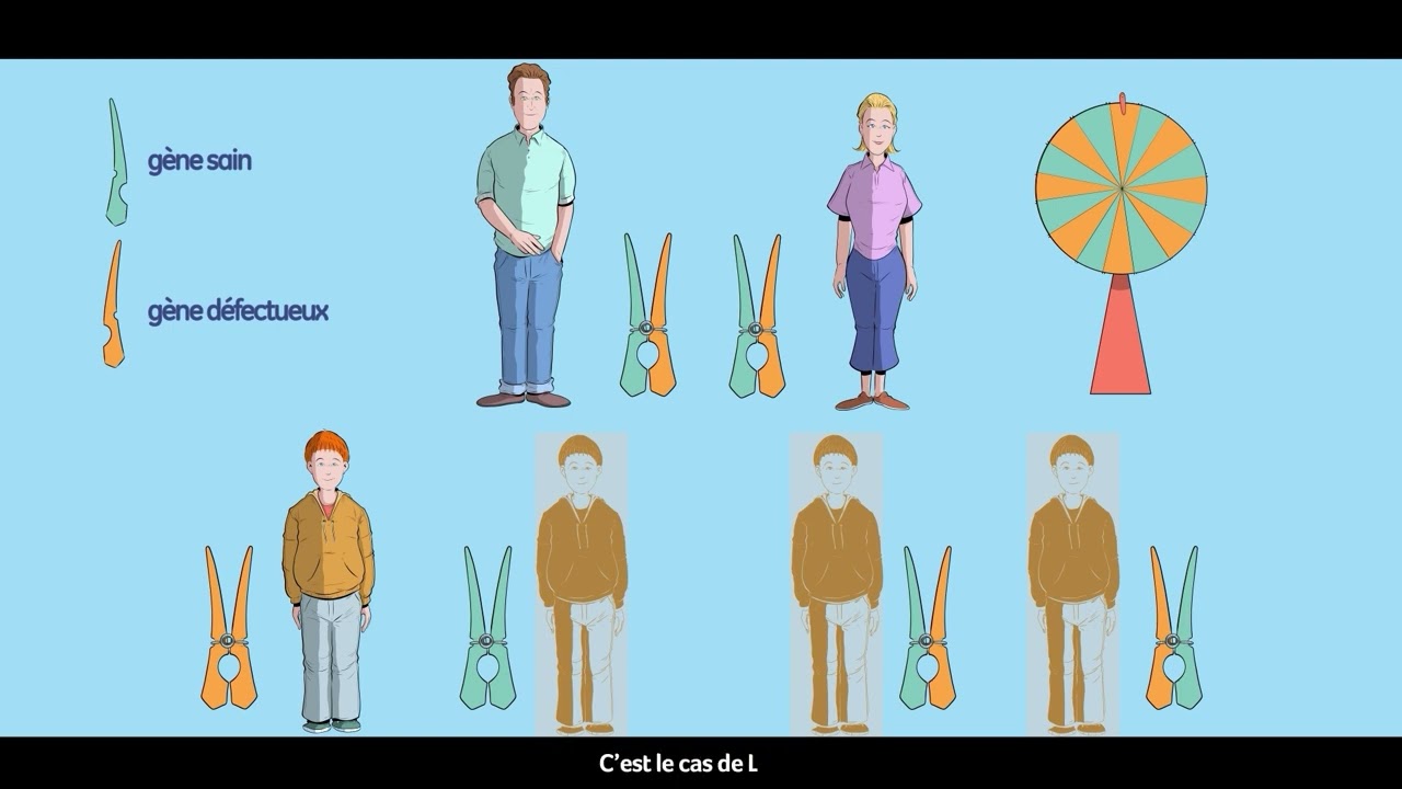 C'est quoi la maladie de Gaucher type 1 - Présentation animée