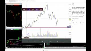 Gamma Squeeze - Market Makers