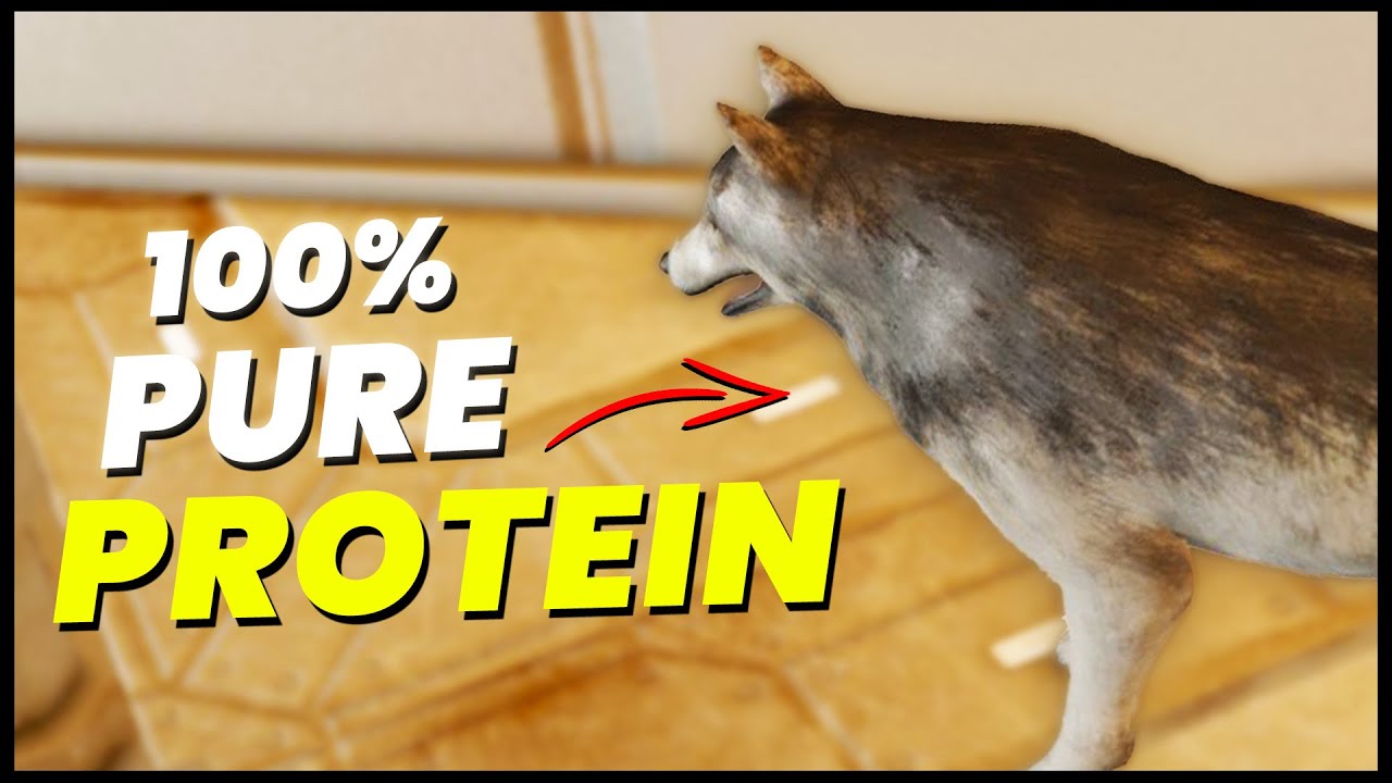 Success has never tasted so much like dog | Suit Only Survival SEASON 3 | Episode 8