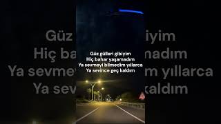 Hakan Taşiyan Güz Gülleri Resimi