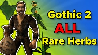 Gothic 2 – Ultimate Rare Herbs Guide (All Dragonroots, Goblin Berries, King's Sorrels) Locations...