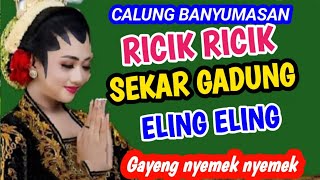 Download Lagu RICIK RICIK SEKAR GADUNG ELING ELING CALUNG BANYUMASAN GAYENG NYEMEK NYEMEK KAGEM JAMPI SAYAH. MP3