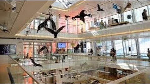 Quanto tempo ci vuole per visitare il museo di Trento?