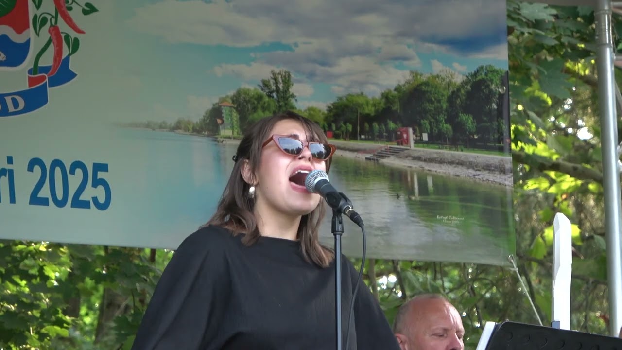 Kovács Aliz és az Electric Soul - Stop (Sam Brown)