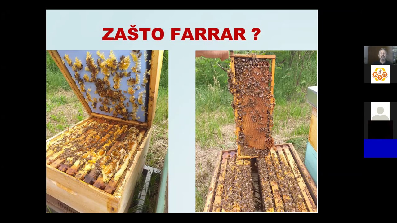 Janoš Balint 04 02 2021 god Savremeno pčelarenje porodice Balint