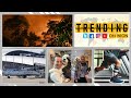 US Lawmakers launch &#39;Dog Lovers Caucus&#39; | Nepal battles raging Wildfires | Trending on WION