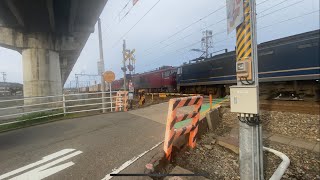3093レ EF510-501号機・EH500-50号機が大宮操車場へ回送されていきました!