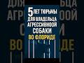 нападение «опасной» собаки во Флориде  #законысша #юридическиесоветы #сша #usa