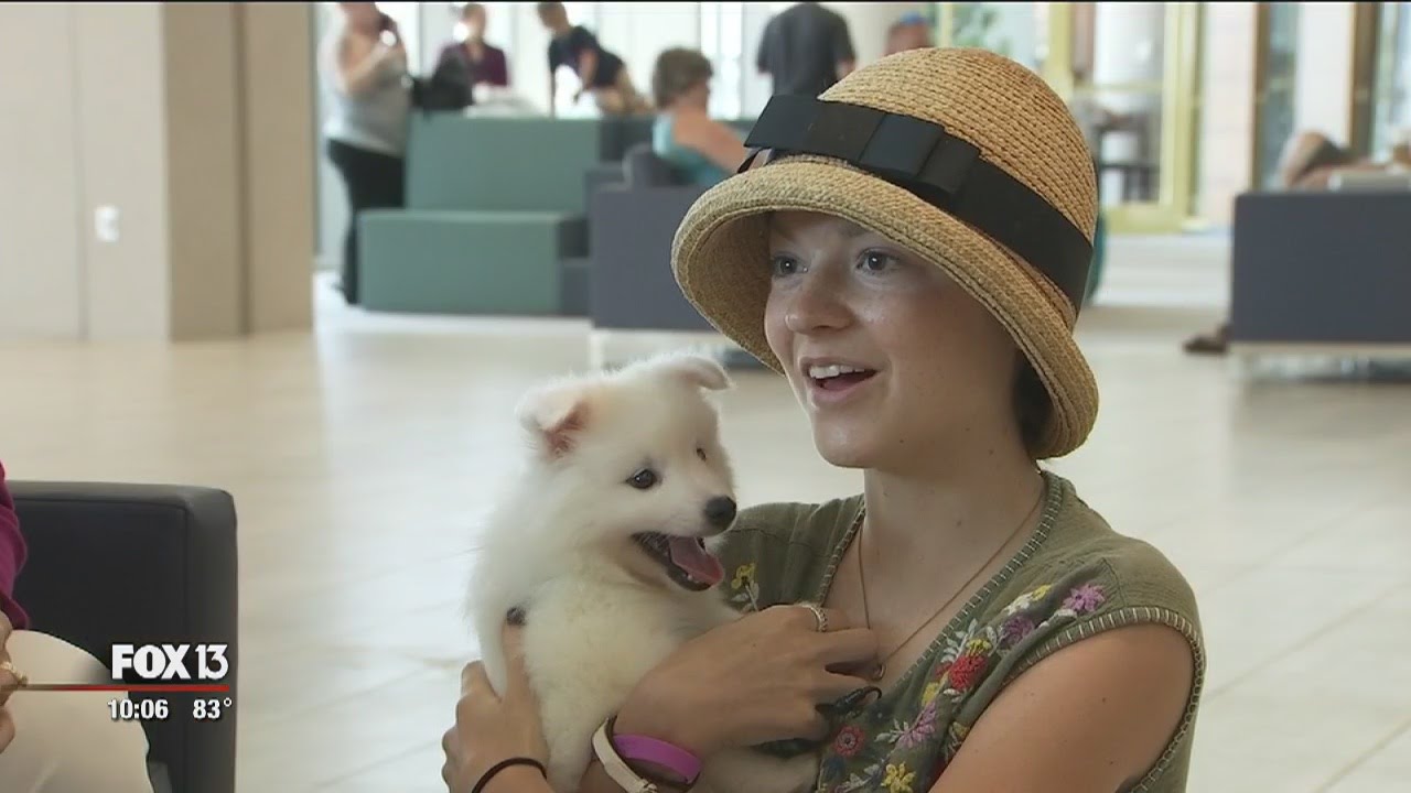 Teen battling cancer granted wish for puppy - YouTube