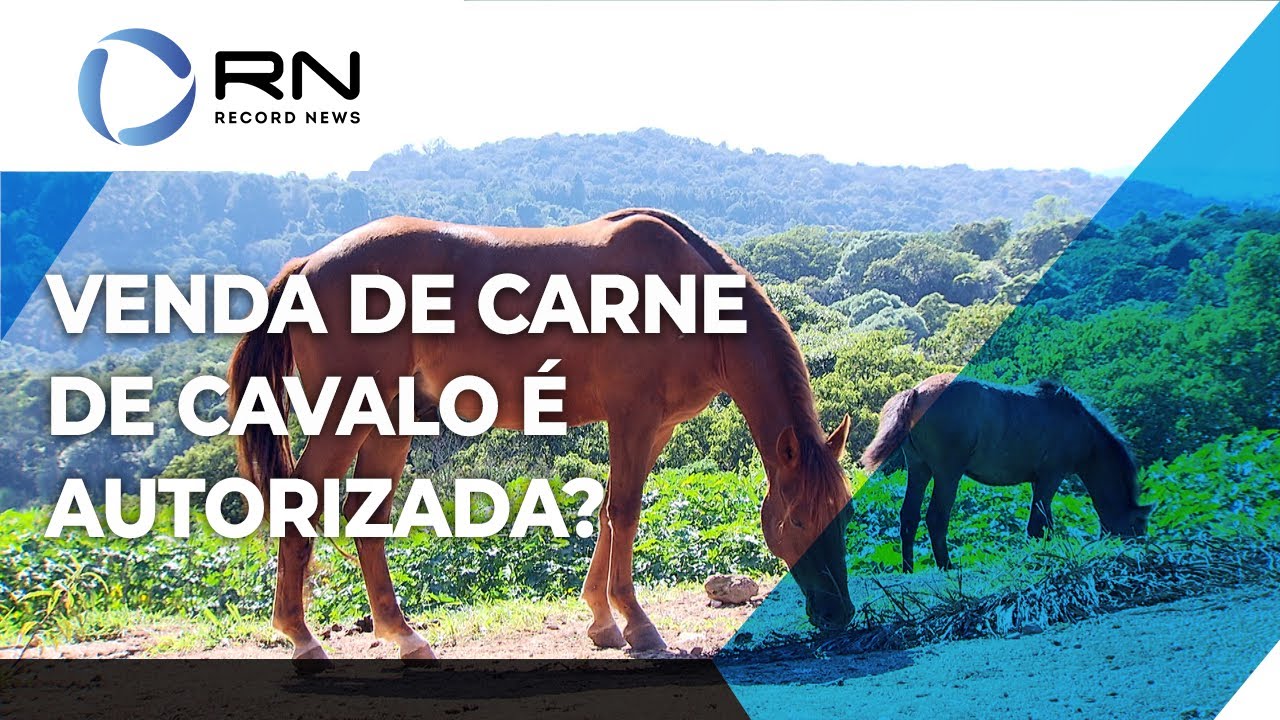 Brasil exporta carne de cavalo