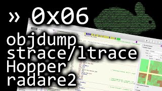 Simple Tools and Techniques for Reversing a binary - bin 0x06