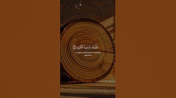 #قران_كريم #اكسبلور #المصحف آيات قصيرة من القرآن الكريم حالات واتس اب
